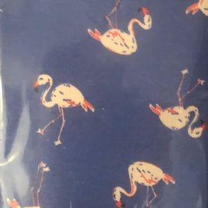 NWT Gap Long Sleeved Top & Bottom PJs 💕✨